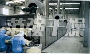 DWC系列脫水蔬菜帶式干燥機(jī) DWC系列脫水蔬菜帶式干燥機(jī)