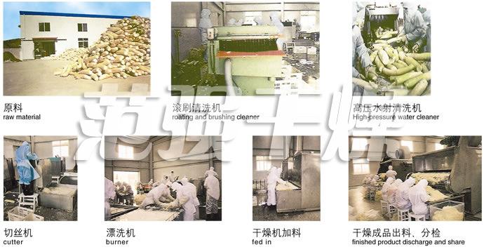 DWC系列脫水蔬菜帶式干燥機(jī) DWC系列脫水蔬菜帶式干燥機(jī)